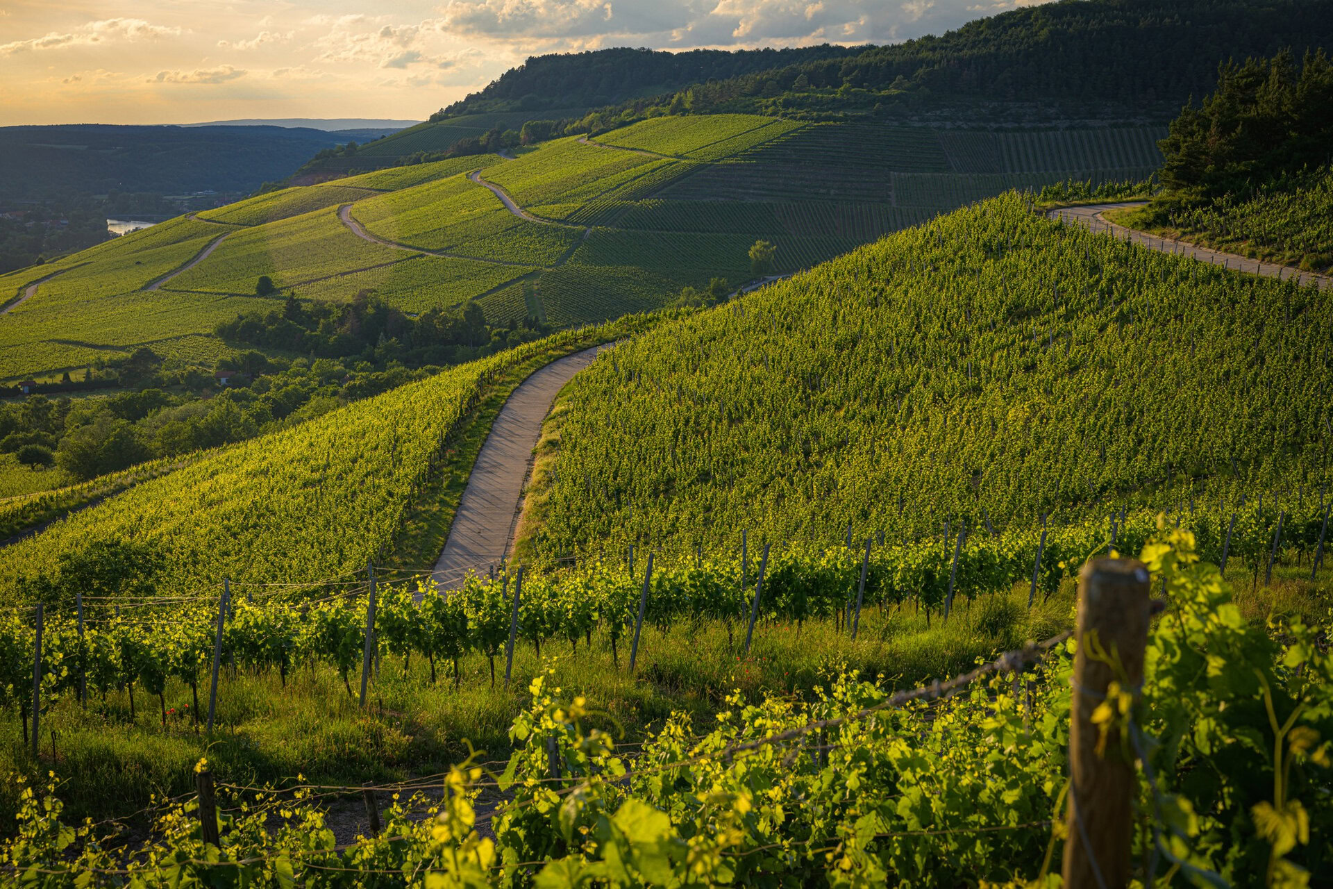 Winery